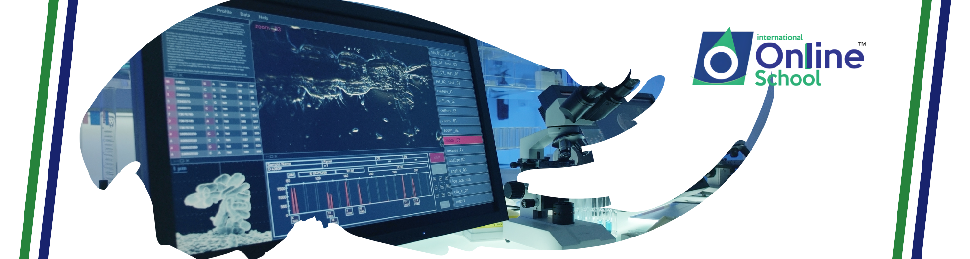 Computer Science - Diploma Programme